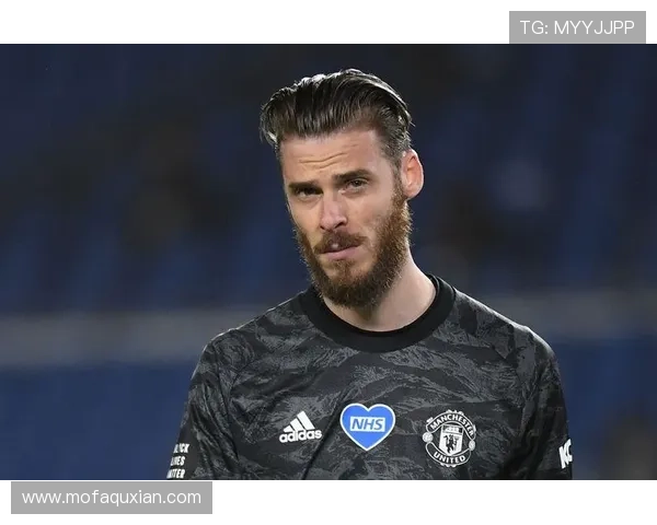 出道前后的足球明星成长轨迹与职业生涯的精彩对比分析