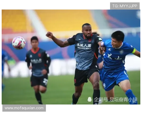 北京排球队强势领跑联赛积分榜71分优势彰显实力