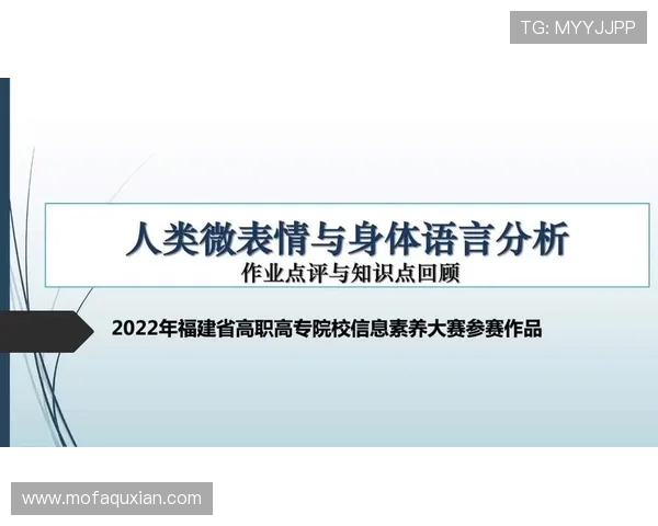 西安排球队在挑战赛中的团队协作表现分析与点评