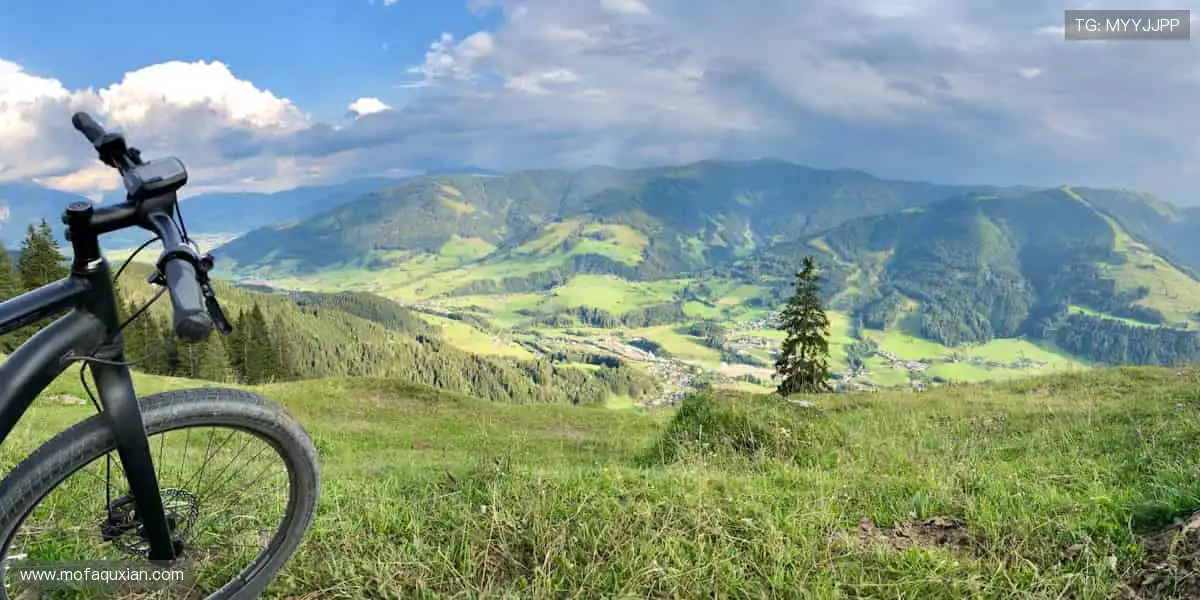 指尖掌控赛场，弹幕点燃激情！🎥